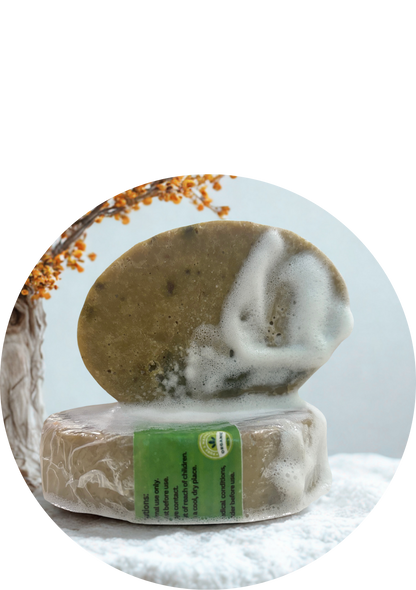 NAVIDYA Neem Detox Soap